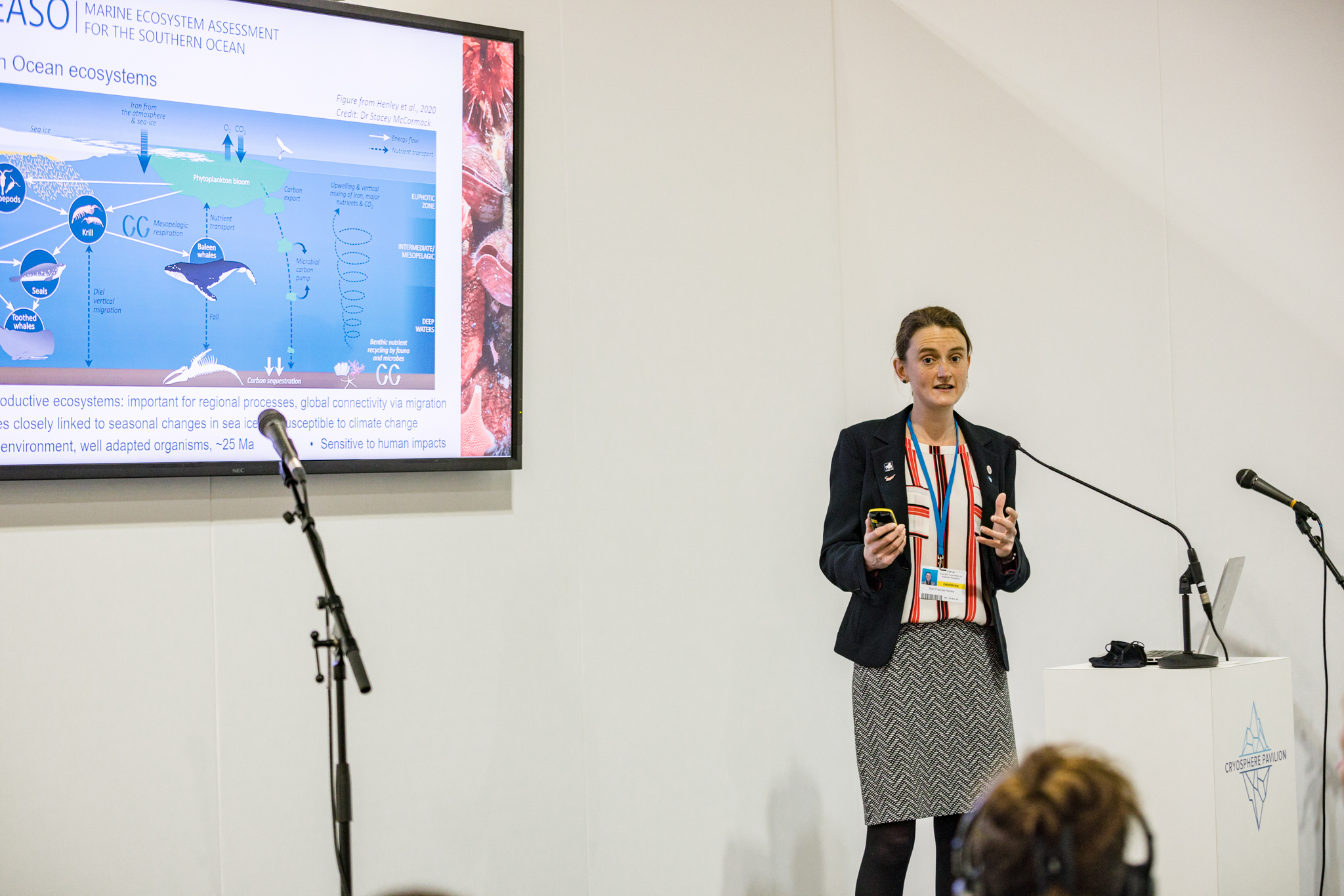 This image for Image Layouts addon